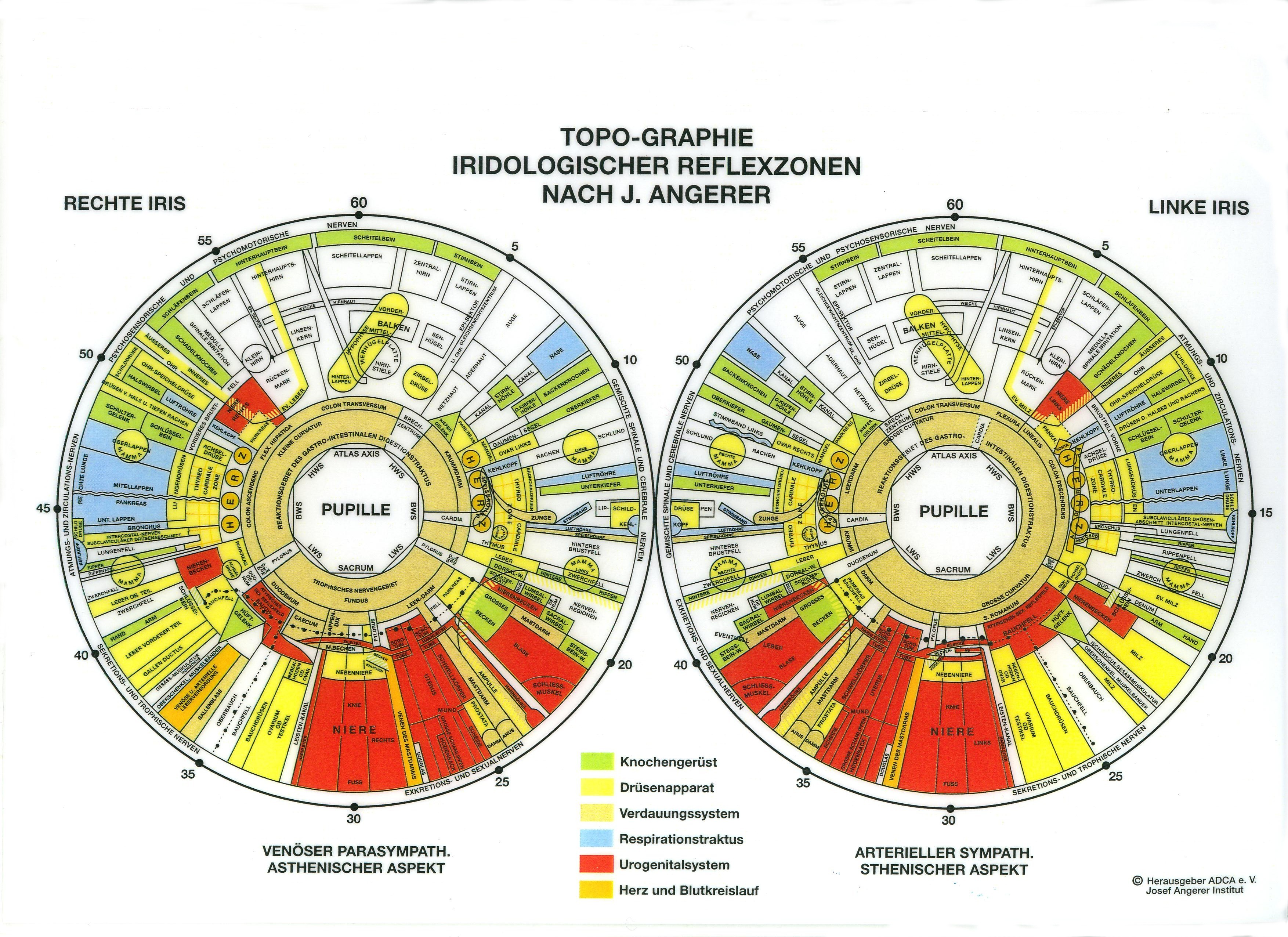 download die klimatische behandlung der tuberkulose und ihre